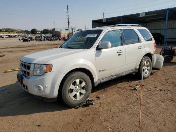  Salvage Ford Escape