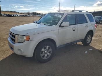  Salvage Ford Escape