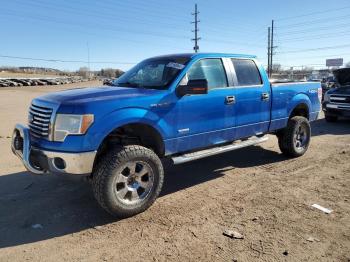  Salvage Ford F-150