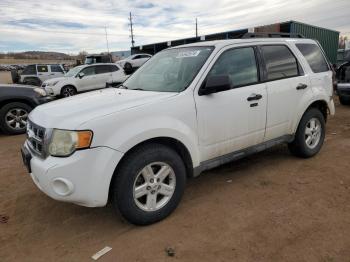  Salvage Ford Escape