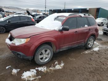  Salvage Subaru Forester