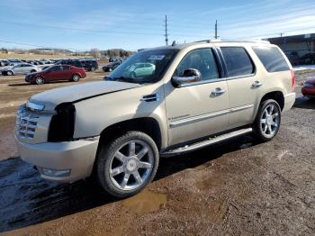  Salvage Cadillac Escalade