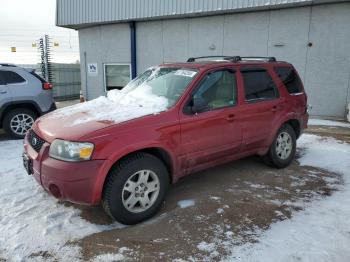  Salvage Ford Escape