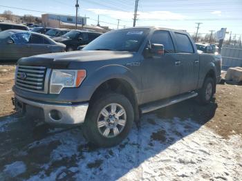  Salvage Ford F-150