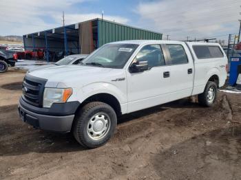  Salvage Ford F-150