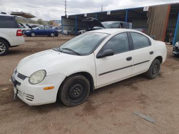  Salvage Dodge Neon