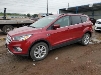  Salvage Ford Escape