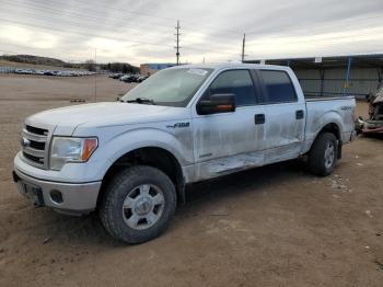  Salvage Ford F-150
