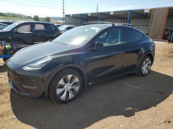  Salvage Tesla Model Y