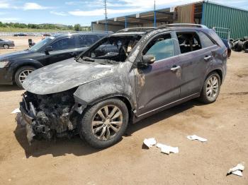  Salvage Kia Sorento