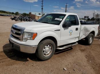  Salvage Ford F-150