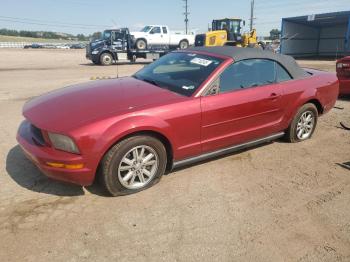  Salvage Ford Mustang