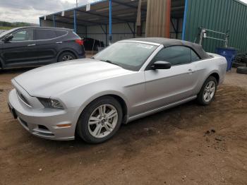  Salvage Ford Mustang