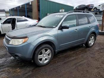 Salvage Subaru Forester
