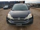 Honda Crv Exl Image 6