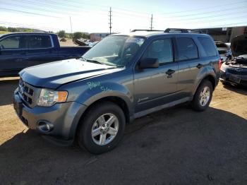  Salvage Ford Escape