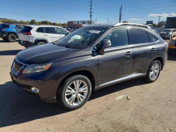  Salvage Lexus RX