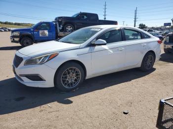  Salvage Hyundai SONATA