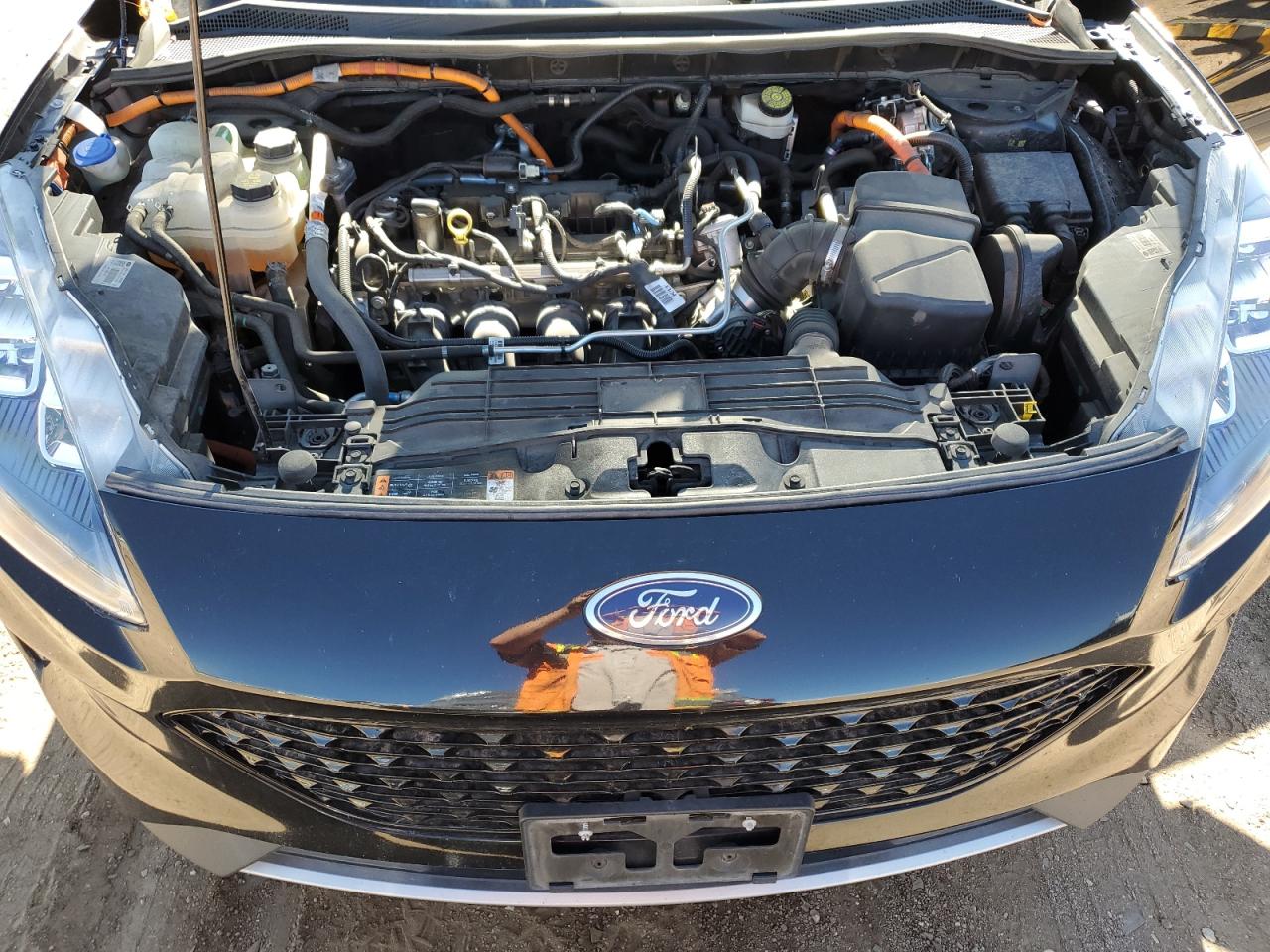 Ford Escape Titanium Image 13