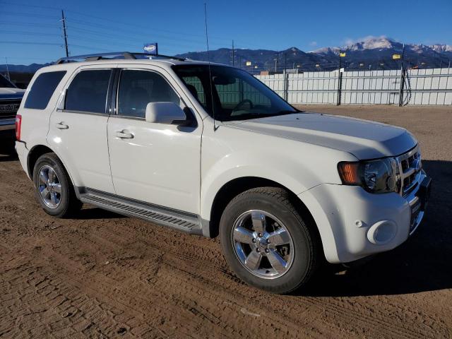 Ford Escape Limited Image 7