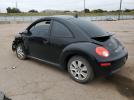 Volkswagen Beetle Image 8