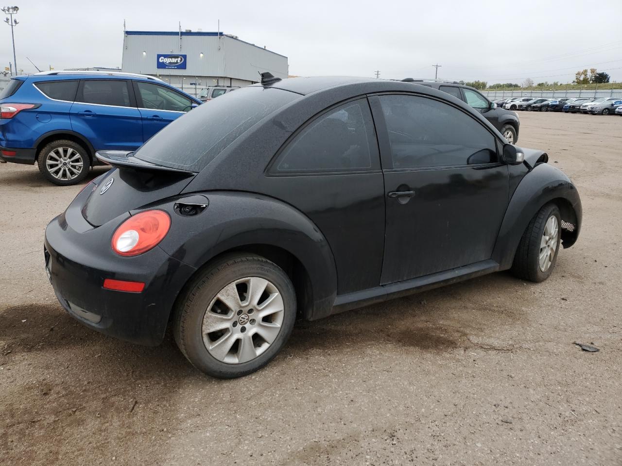 Volkswagen Beetle Image 9