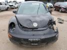 Volkswagen Beetle Image 5