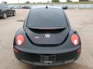 Volkswagen Beetle Image 2