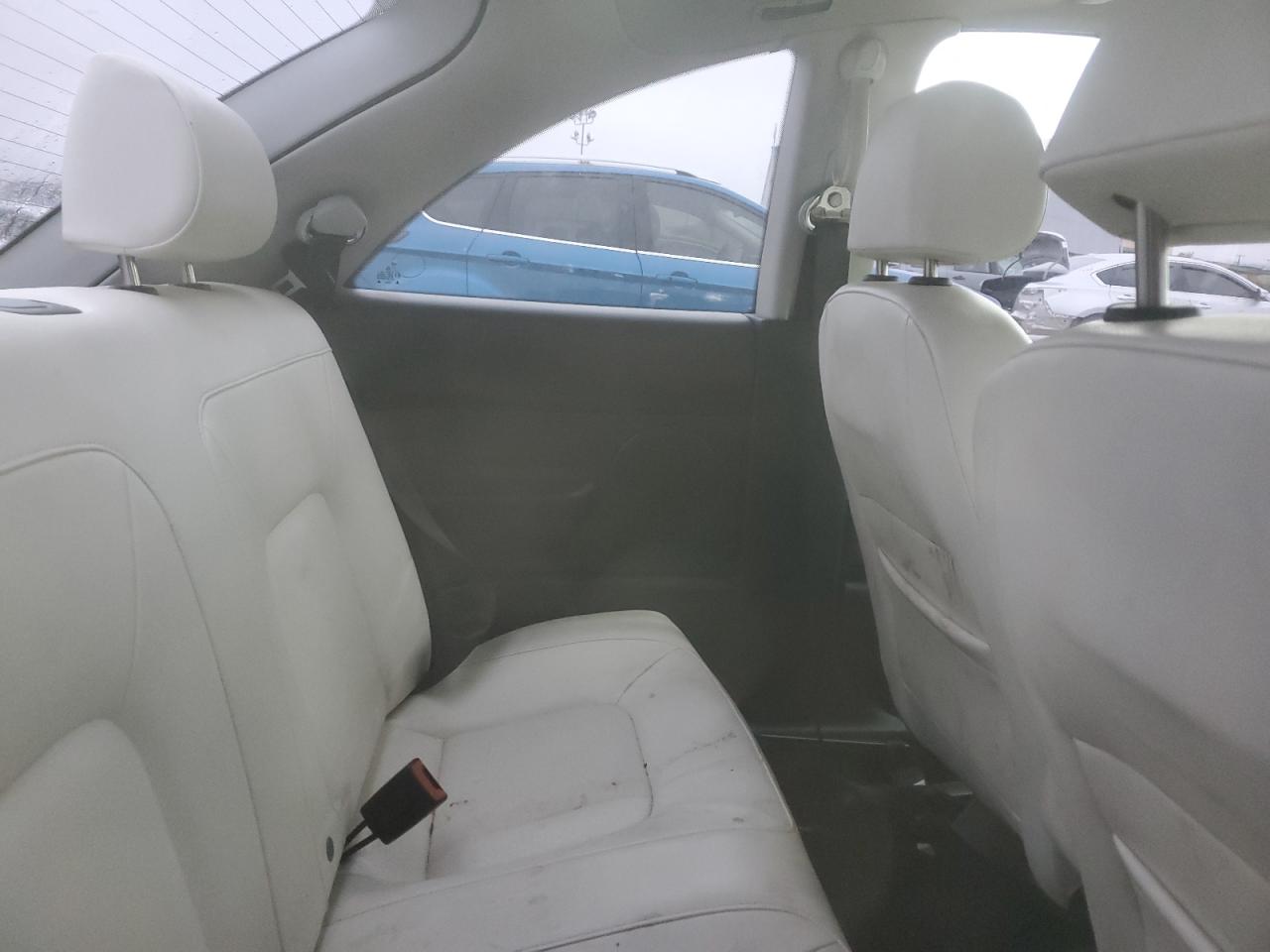 Volkswagen Beetle Image 11