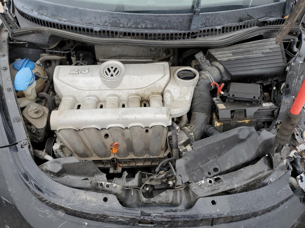 Volkswagen Beetle Image 6