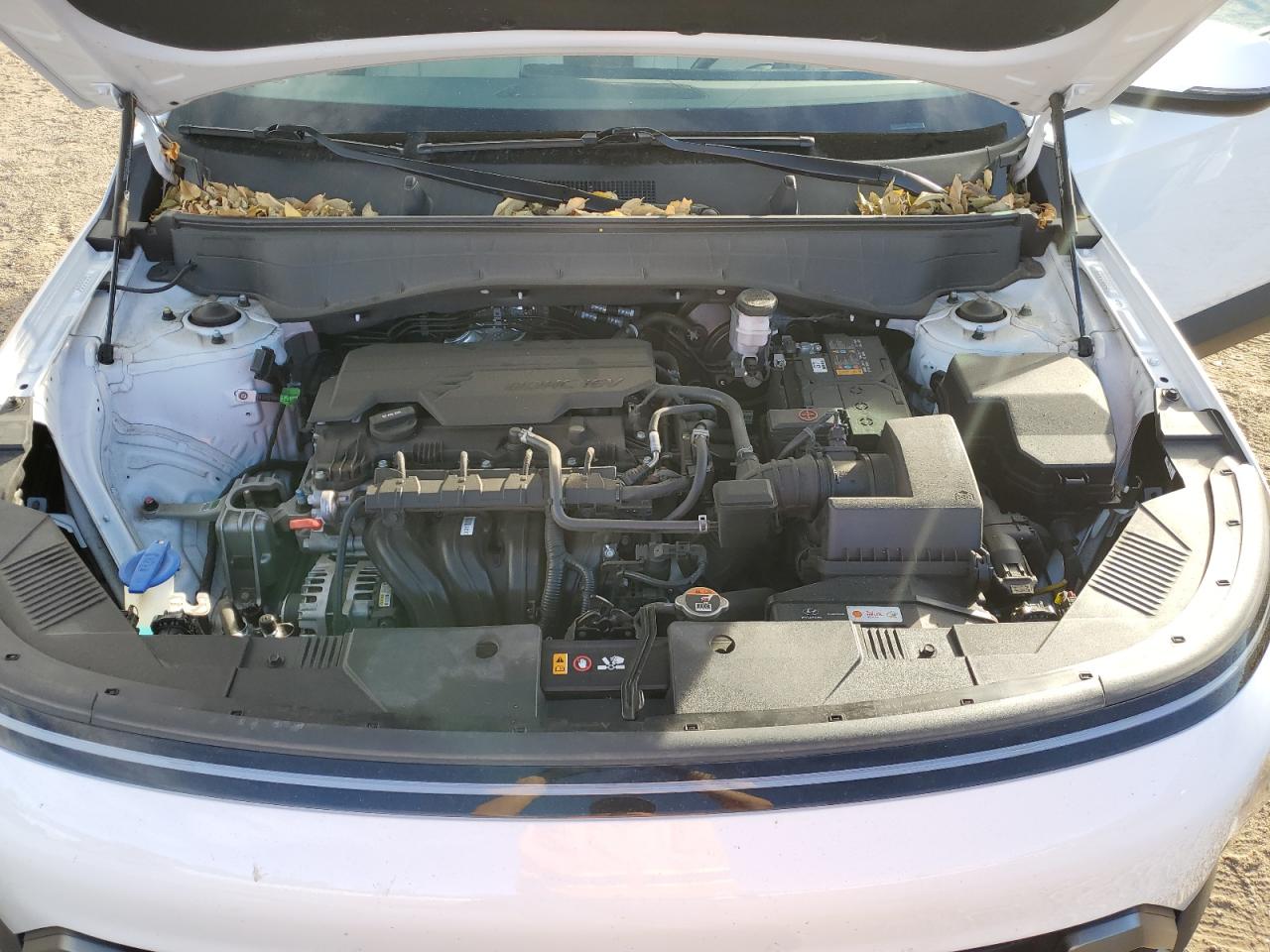 Hyundai KONA Sel Image 5