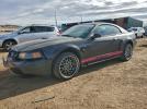 Ford Mustang Image 1