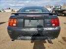 Ford Mustang Image 4