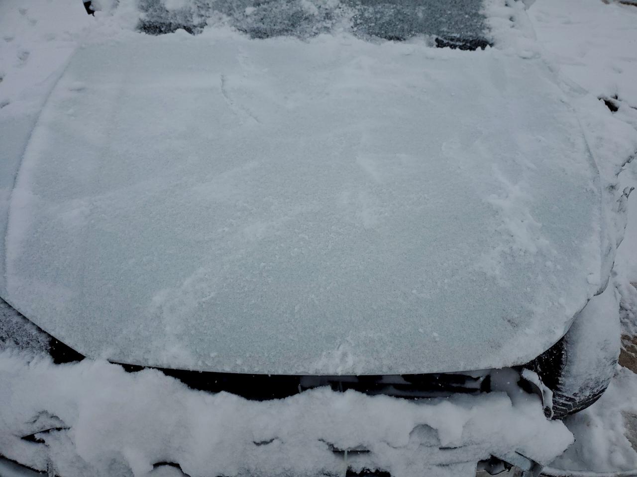 Audi Q5 Premium Image 5