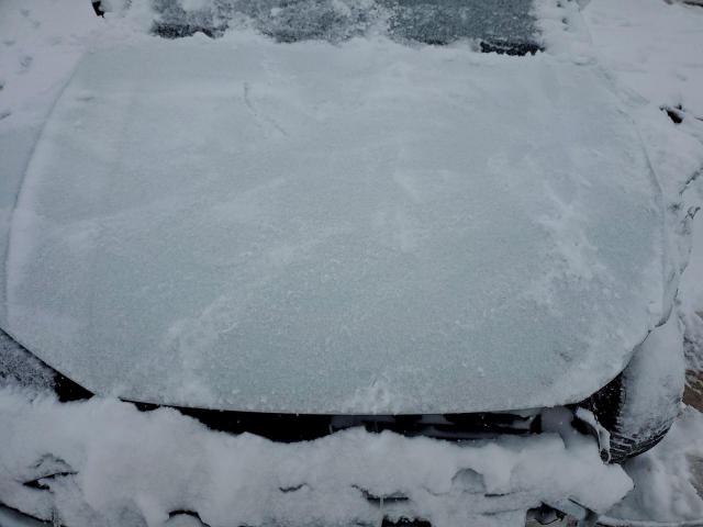 Audi Q5 Premium Image 5