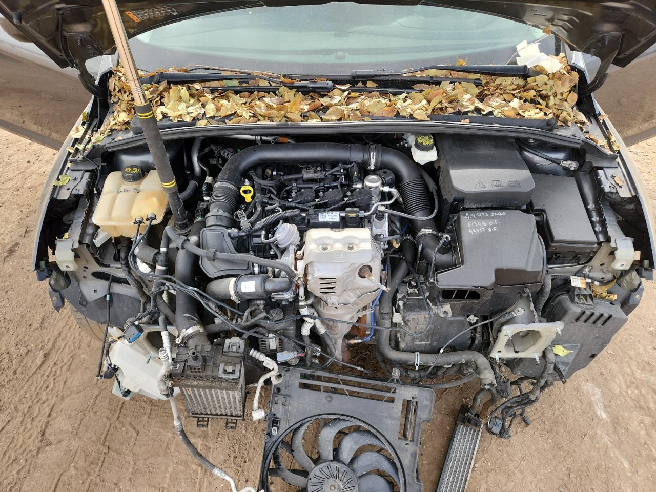 Ford Focus Se Image 13