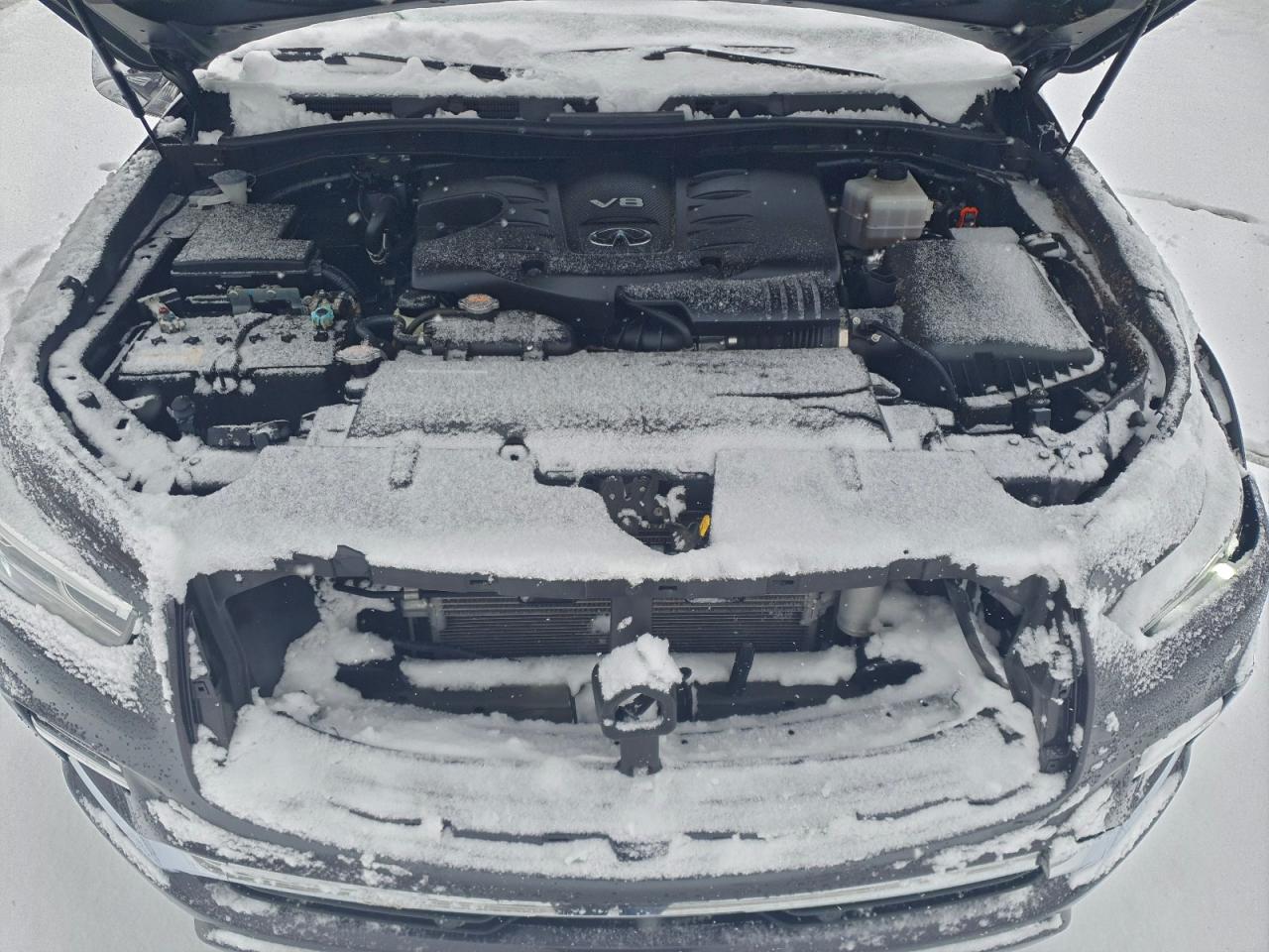 INFINITI Qx Sensory Image 10