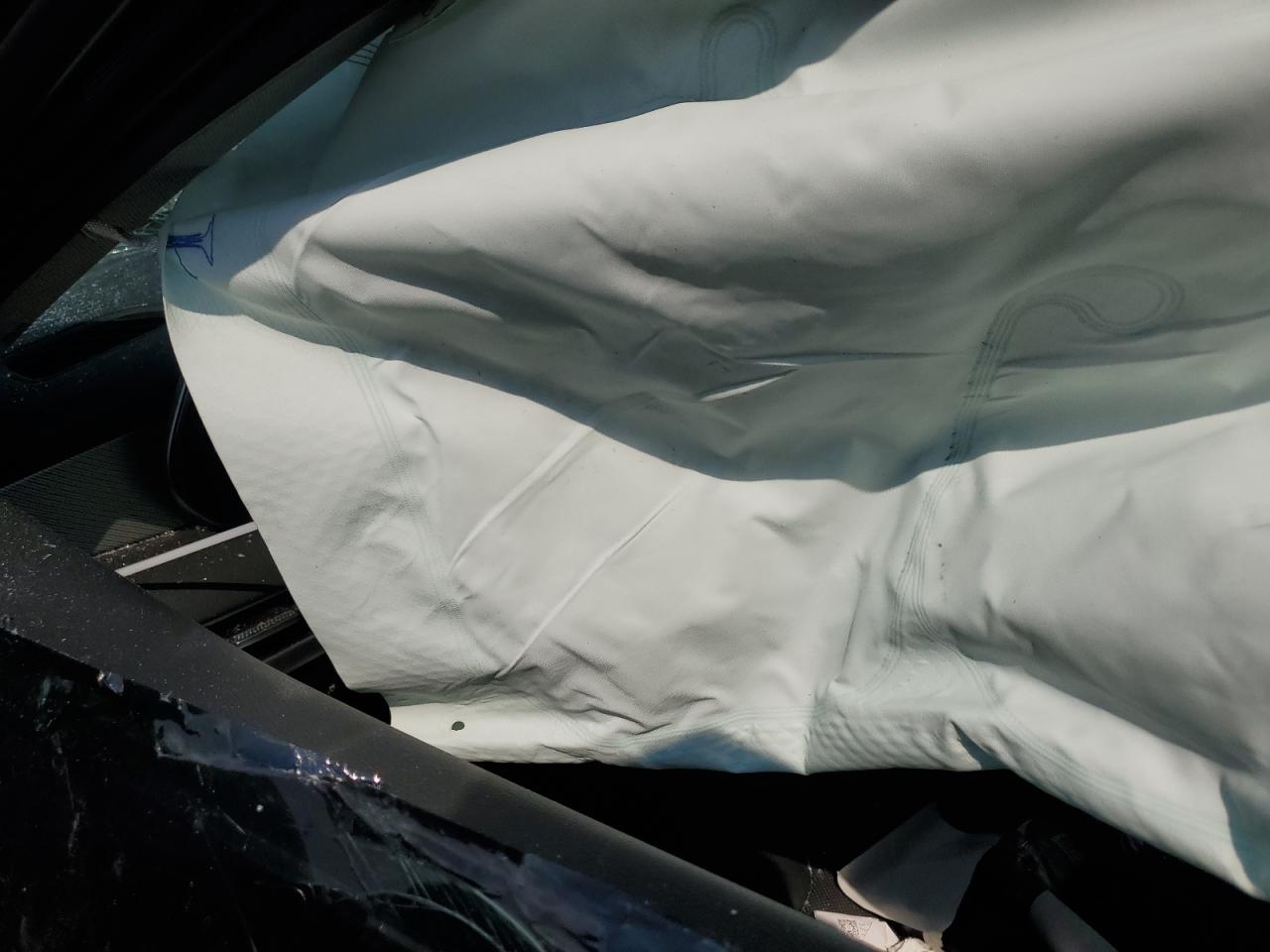 Hyundai PALISADE Sel Premium Image 11