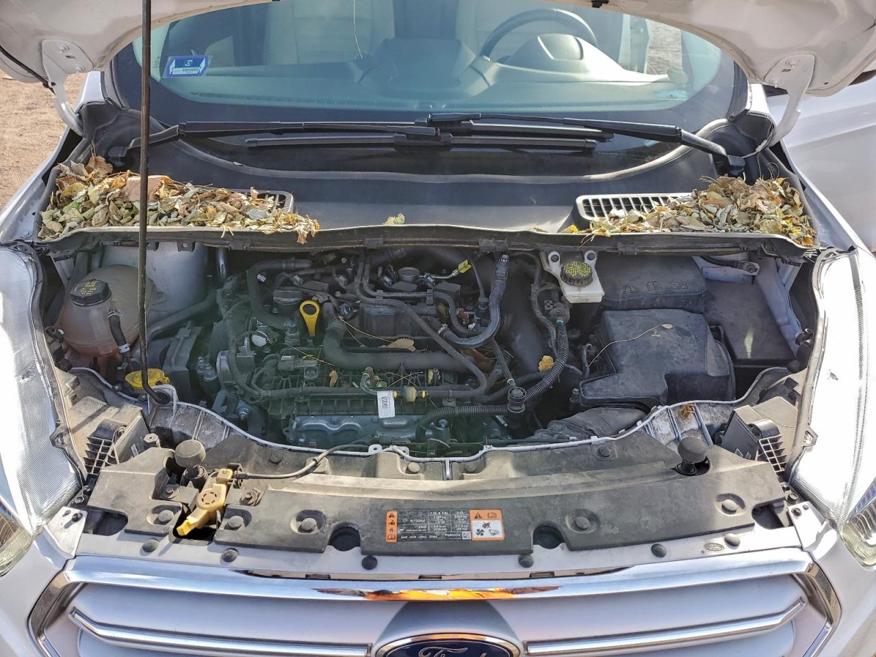 Ford Escape Sel Image 10