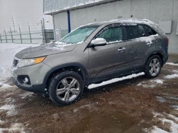  Salvage Kia Sorento