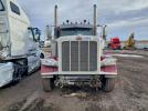 Peterbilt 389 Image 7