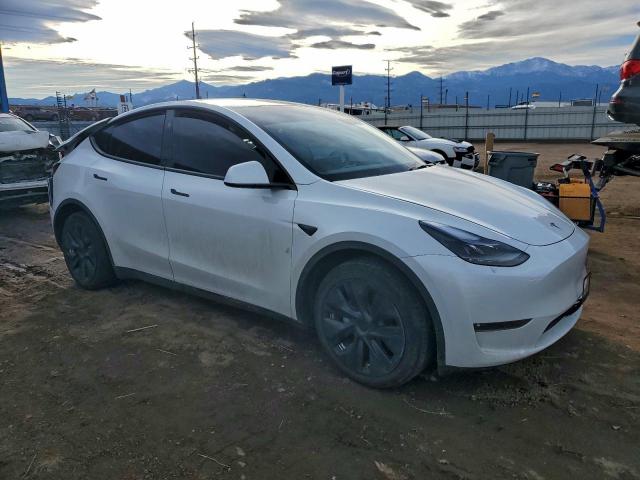 Tesla Model Y Image 3
