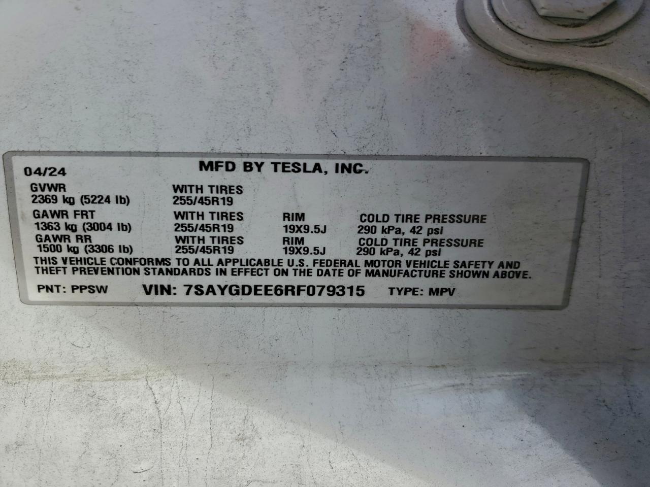 Tesla Model Y Image 5