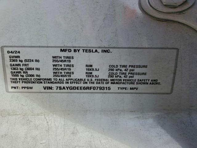 Tesla Model Y Image 5