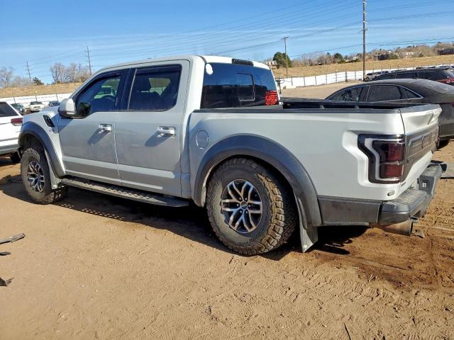 Ford F-150 Raptor Image 2